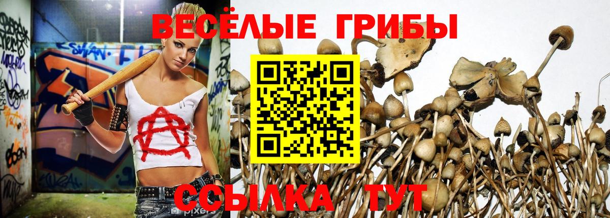 Галлюциногенные грибы GOLDEN TEACHER Клинцы