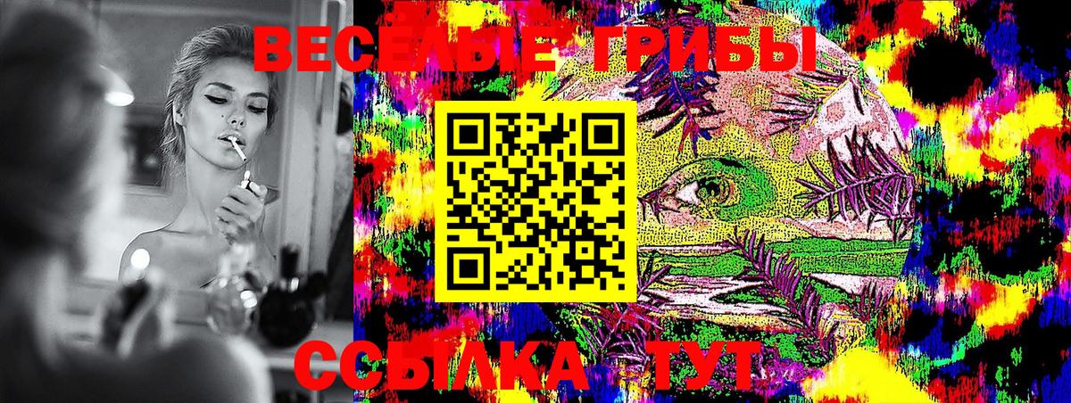 Галлюциногенные грибы Magic Shrooms  Вход с VPN  Клинцы 